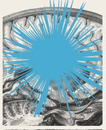 liveideas_web - Version 2