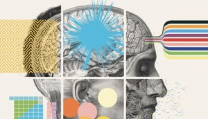 liveideas_web - Version 4